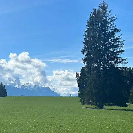 Rustico Di Angelo Appartement Prem