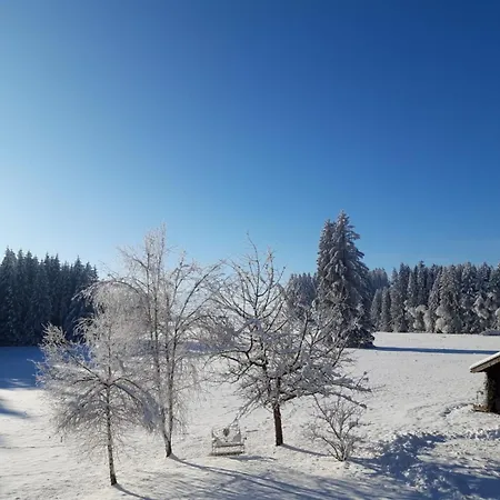 Appartement Rustico Di Angelo Prem