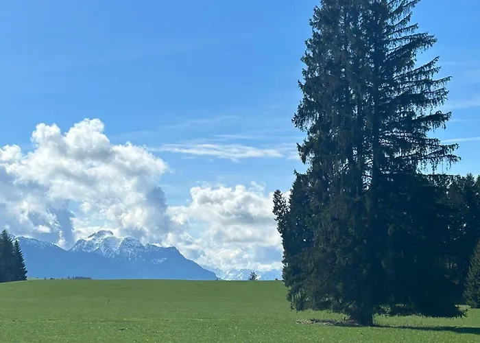 Rustico Di Angelo 아파트 Prem