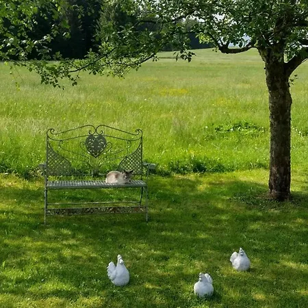Apartment Rustico Di Angelo