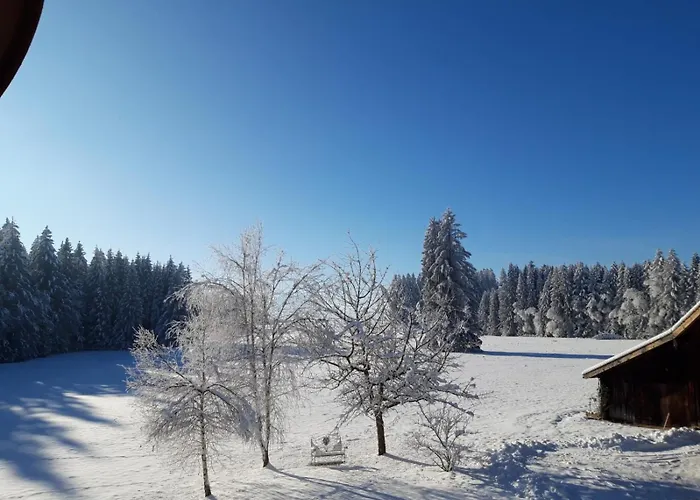 Apartmán Rustico Di Angelo Prem